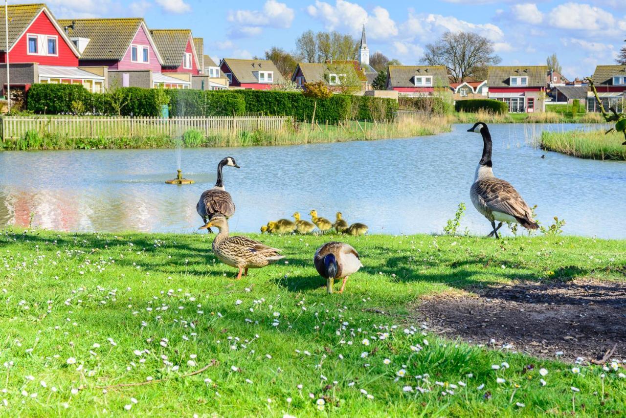 Grimaud 141 - Kustpark Village Scaldia Hoofdplaat Exteriör bild